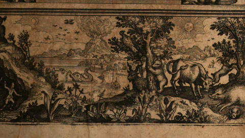 From Daniel Sennert's Natural History: Landscape with Animals